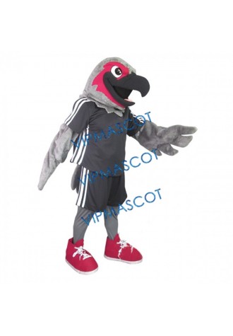 Handsome Seahawk Mascot Costume