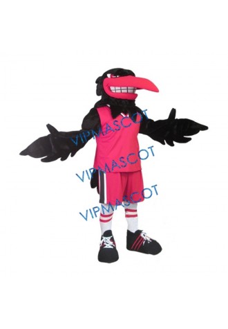 Raven Mascot Costume