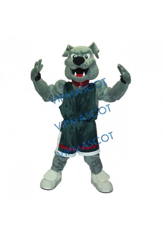 Lucky Dog Mascot Costume