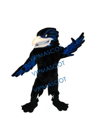 Handsome Ferocious Raven Mascot Costume