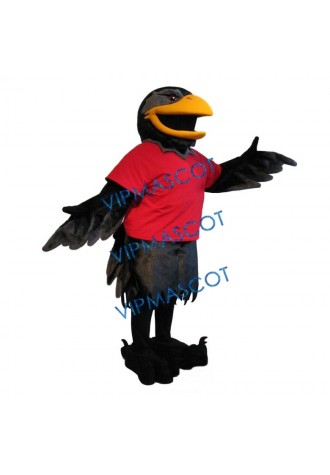 Handsome Raven Mascot Costume
