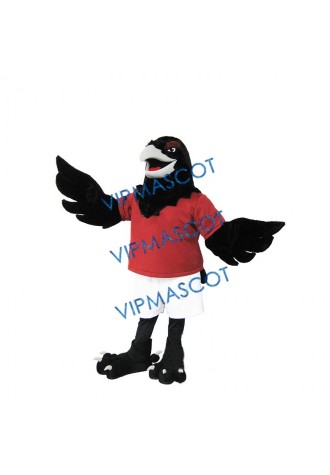 Raven Mascot Costume