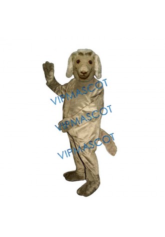 Afghan Mascot Costume