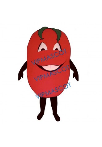 Big Tomato (Bodysuit not included) Mascot Costume