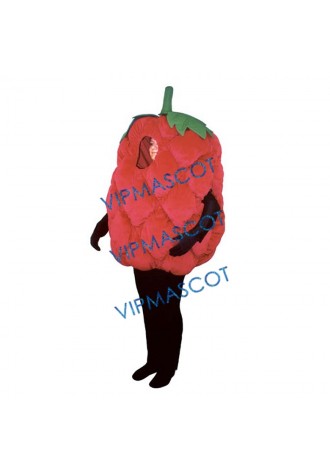 Fresh Raspberry Mascot Costume