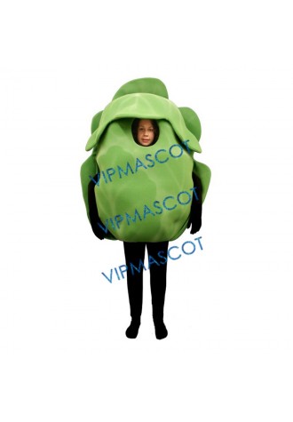 Iceberg Lettuce Mascot Costume