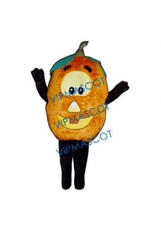 Jack O Lantern Mascot Costume