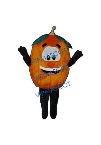 Pumpkin Mascot Costume