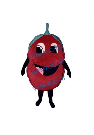 Raspberry  Mascot Costume