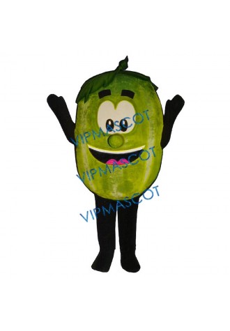 Wally Watermelon Mascot Costume