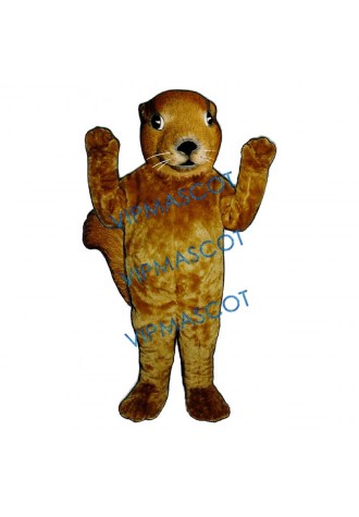 Realistic Squirrel Mascot Costume