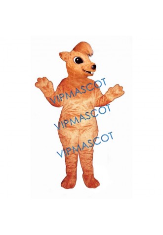 Sid Squirrel Mascot Costume