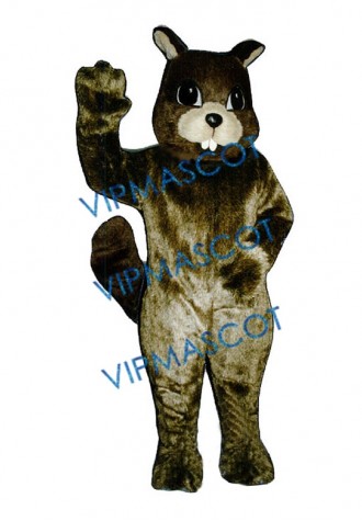 Squirrel Mascot Costume