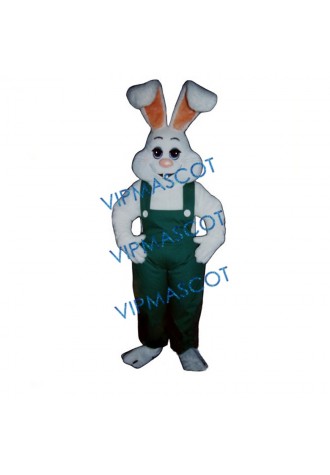 Bunny Boy Mascot Costume