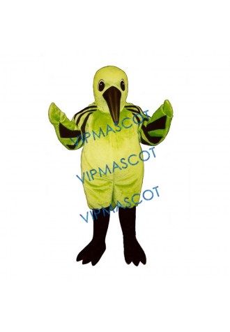 Hummingbird Mascot Costume