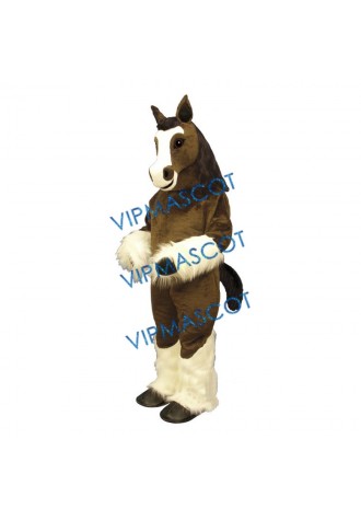 Shirley Shire Mascot Costume