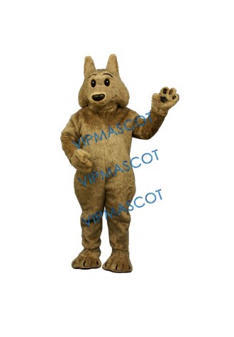 Kyle Koyote Mascot Costume
