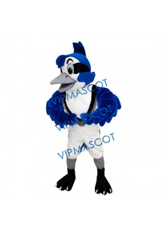 Cute Blue Jay Mascot Costume
