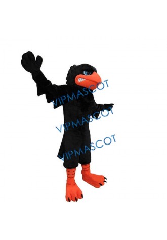 Ferocious Crow Mascot Costume