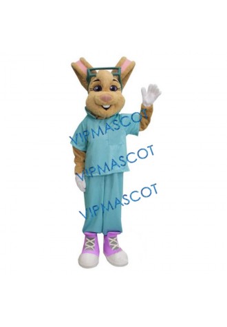 Fair Dr Rabbit Mascot Costume